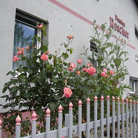 Pension Sonnenschein Санкт-Канциан Экстерьер фото