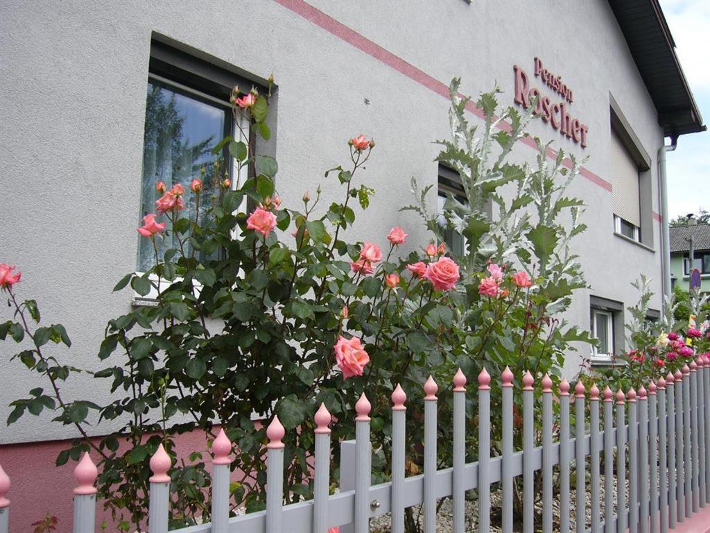 Pension Sonnenschein Санкт-Канциан Экстерьер фото